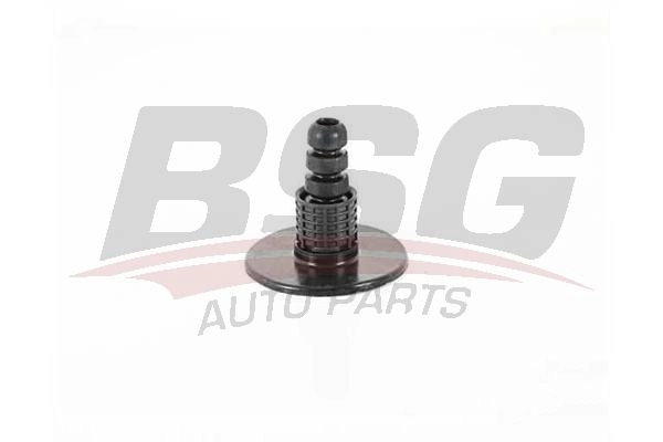 Амортизатор BSG 8719822118337 BSG 60-700-192 1424978268 S84S P