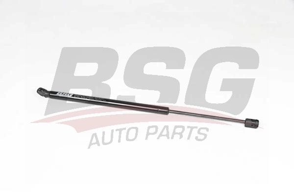 Амортизатор багажника BSG 75J CK BSG 40-980-061 1440452526