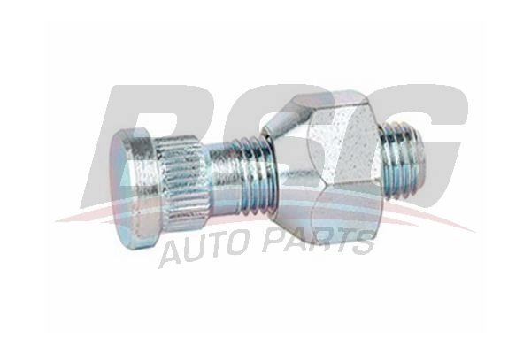 Болт ступицы колеса BSG 1424460302 8719822043608 QN C8HX BSG 40-230-016