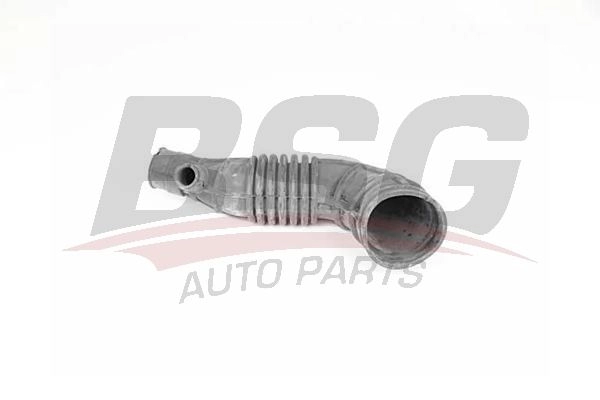Воздушный патрубок BSG RIMW Q 8719822079744 BSG 65-720-157 1424587417