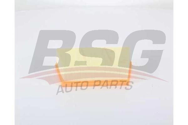 Воздушный фильтр BSG Q 9NYE 1440452936 BSG 15-135-024