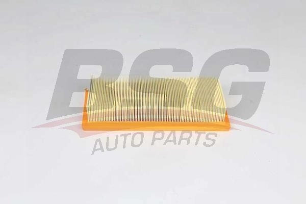 Воздушный фильтр BSG 1440452963 T8 WCHM6 BSG 25-135-013
