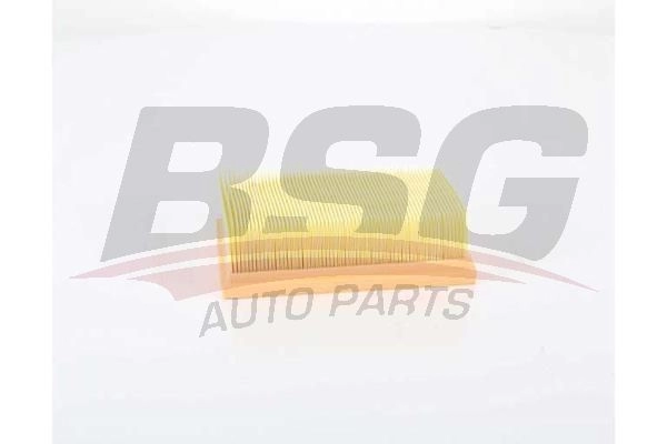 Воздушный фильтр BSG X ZBWJ BSG 75-135-022 1440453199