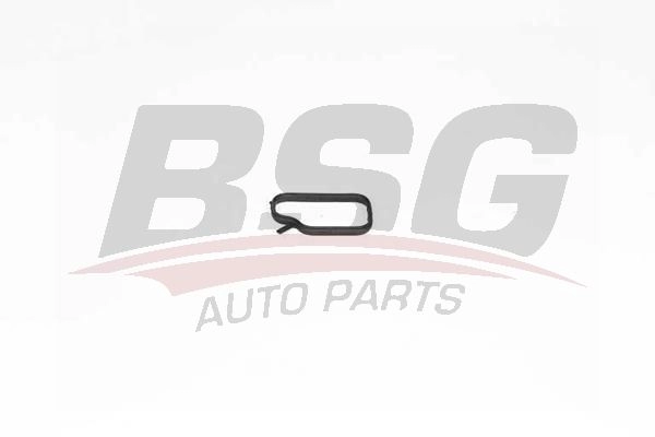 Прокладка трубки охлаждающей жидкости BSG JN 9OB BSG 15-116-013 1440456617