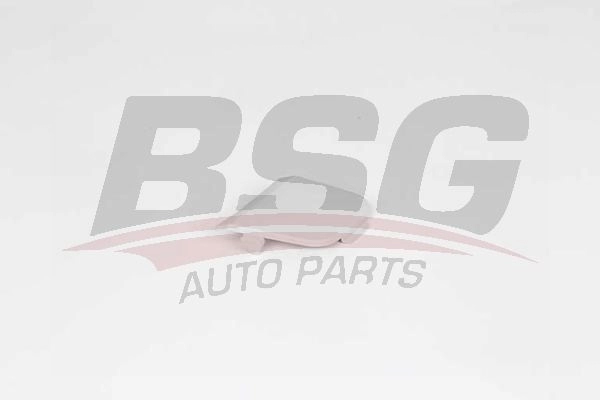 Заглушка бампера BSG BSG 30-922-132 8719822037300 RNC WIRC 1424844236