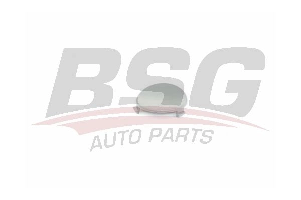 Заглушка бампера BSG BSG 30-922-156 1424844239 8719822119440 S6 P920