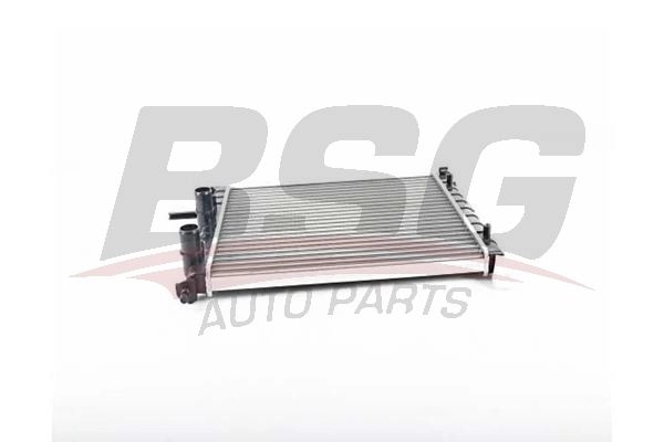 Радиатор охлаждения двигателя BSG BSG 25-520-011 OKEOG EX 1440456859