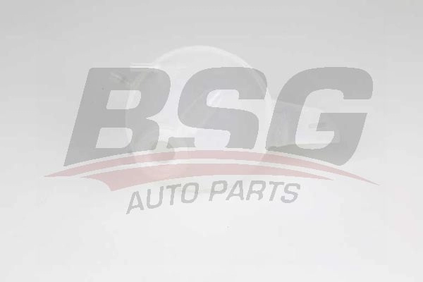 Расширительный бачок BSG 9LMHB W BSG 30-551-007 1440457299