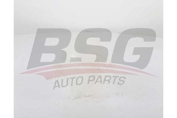 Расширительный бачок BSG 1440457317 Y M6D879 BSG 60-551-002