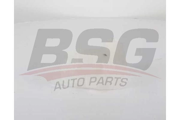 Расширительный бачок BSG HL97 U 8719822118603 1424438328 BSG 65-550-017