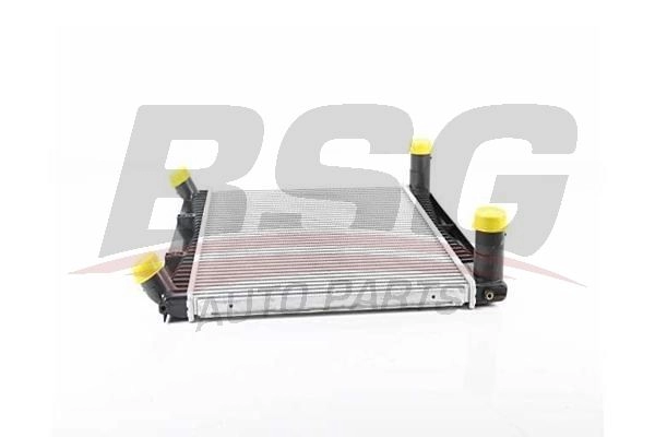 Интеркулер BSG 1440453995 BSG 15-535-024 2FH Z9