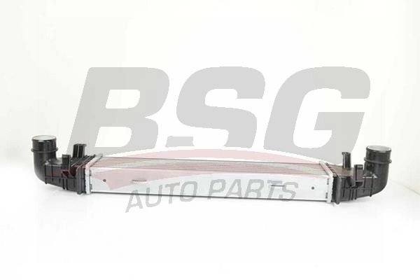 Интеркулер BSG W4E J1LZ BSG 60-535-003 1440454039