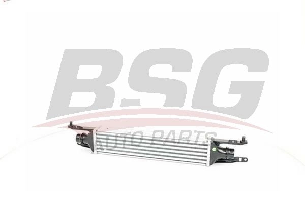 Интеркулер BSG BSG 65-535-003 1440454067 O8 03K изображение 0