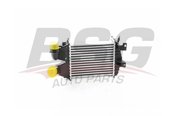 Интеркулер BSG BSG 65-535-006 1440454070 I8 WS7M