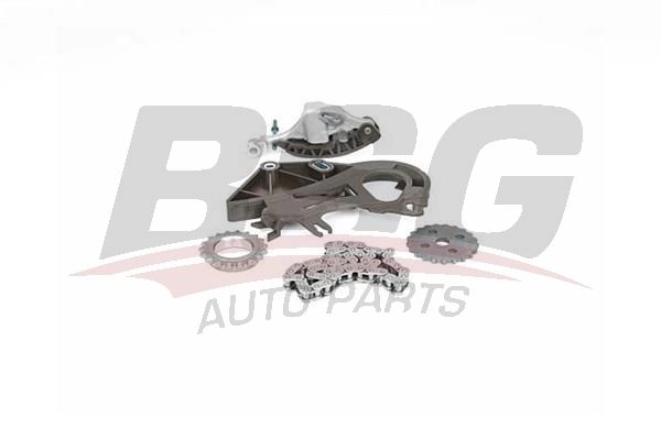 Комплект цепи масляного насоса BSG BSG 15-109-011 X0 QLN55 1440454415