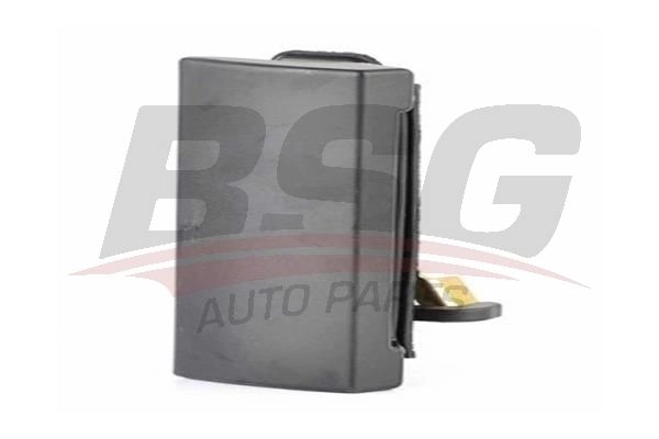 Ручка двери BSG MW5 9IHK 8719822039434 BSG 30-970-022 458867582
