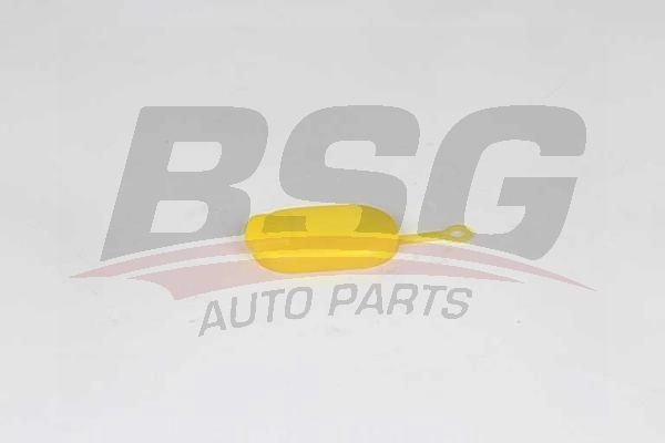 Крышка бачка омывателя BSG BSG 75-922-004 1440454545 A WG4OR