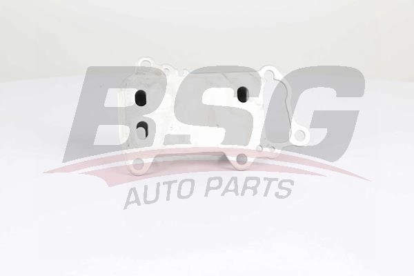 Масляный радиатор двигателя BSG BSG 15-506-021 ME UBZY 1440454724