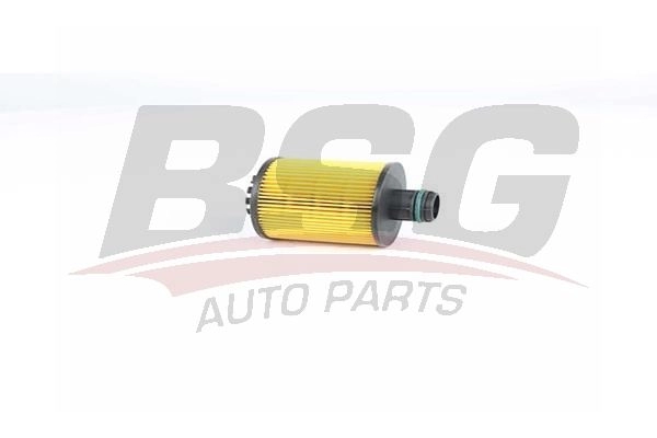 Масляный фильтр BSG F R5G5 BSG 25-140-011 1440454793