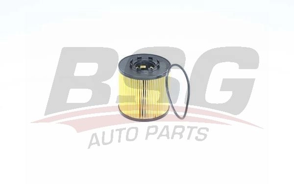 Масляный фильтр BSG BSG 75-140-002 1424520977 8719822126899 EE8S LJ7