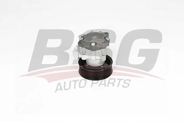 Насос Гур BSG BSG 15-355-030 GJH0P T7 1440455028