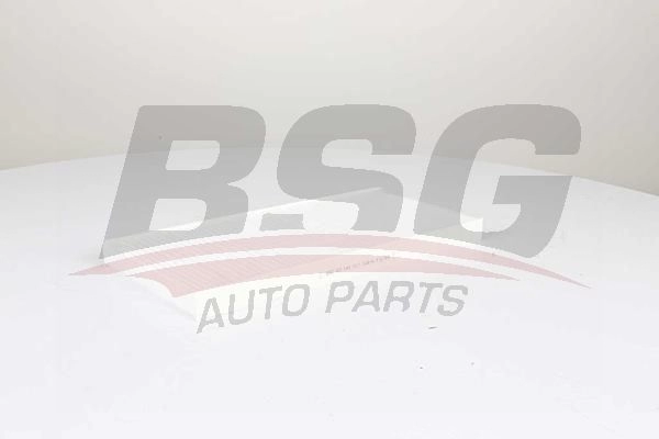 Салонный фильтр BSG BSG 60-145-017 1440458650 GJMXS YC
