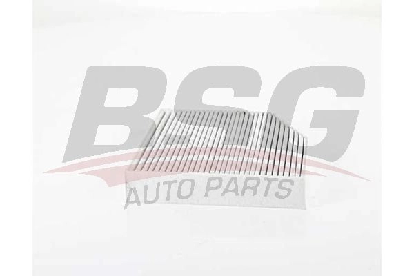 Салонный фильтр BSG BSG 60-145-020 1440458653 O V8HXG