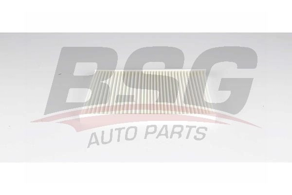 Салонный фильтр BSG BSG 60-145-028 1440458661 N H5JBU