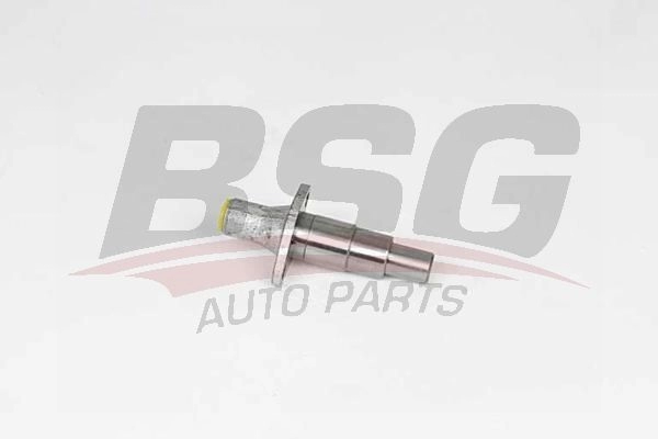 Натяжитель цепи ГРМ BSG 1440455094 BSG 60-109-019 G5UXH 0