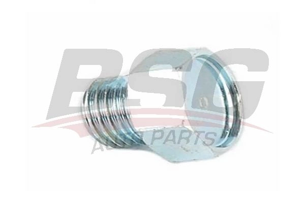 Сливная пробка BSG 1440458810 EWJP E BSG 30-230-041 изображение 0