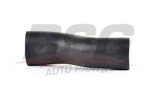 Топливная горловина BSG BSG 30-720-169 8719822028780 S 419FD 447737268