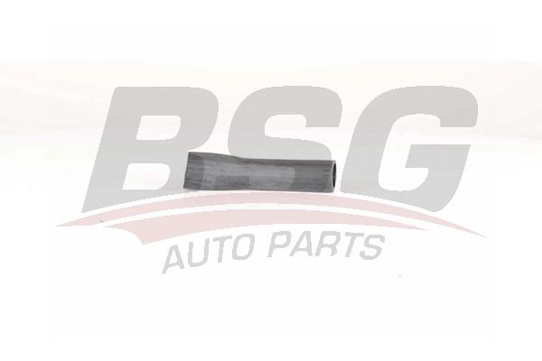 Патрубок интеркулера BSG BSG 90-720-168 JK QF72 1440455472