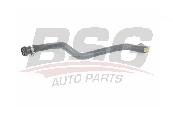 Патрубок печки BSG 3SSRK FN BSG 75-720-005 8719822131220 1424703587