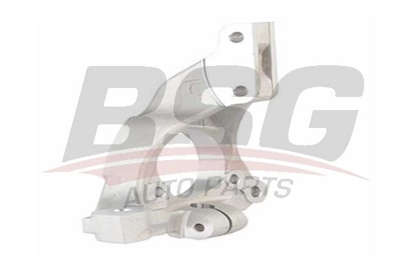 Поворотный кулак, цапфа BSG 1339265171 BSG 65-330-002 8719822072189 TB 6EMZ
