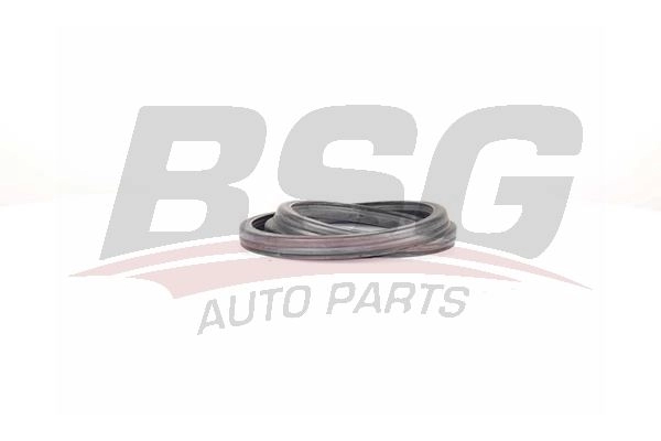 Уплотнитель двери BSG BSG 30-936-016 QRC4P B 1440460359