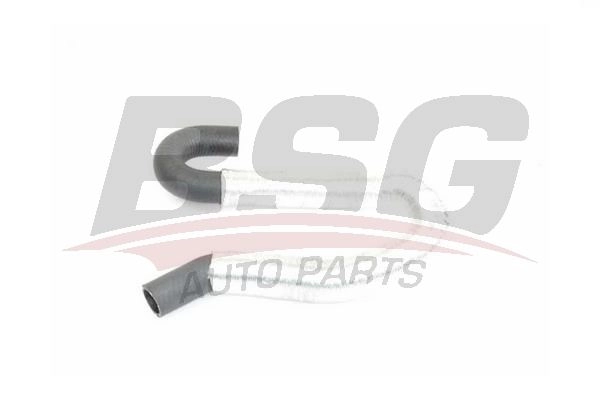 Шланг радиатора BSG 7 67VEM BSG 30-720-232 1440460911