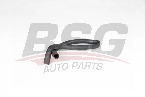 Шланг радиатора BSG BSG 65-700-361 1440461003 QK 1TN8 изображение 0