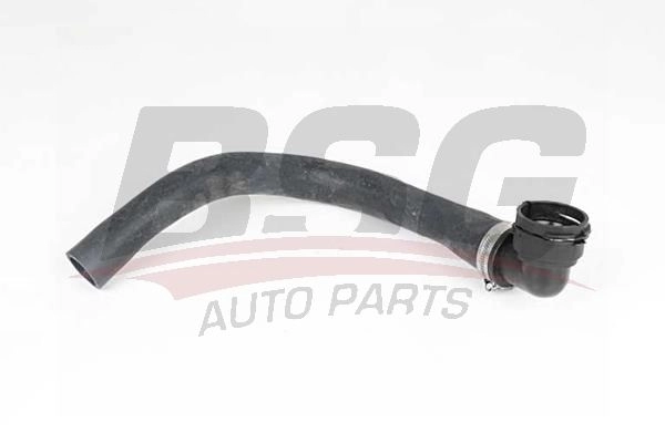 Шланг радиатора BSG BSG 65-700-421 1440461035 1 FZOE
