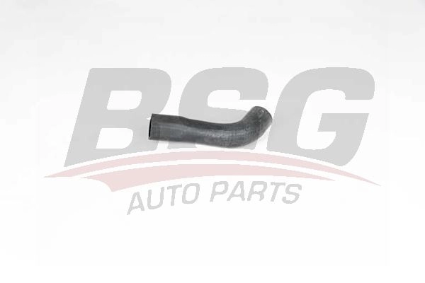 Шланг радиатора BSG IHHCH OE 1440461061 BSG 65-700-468