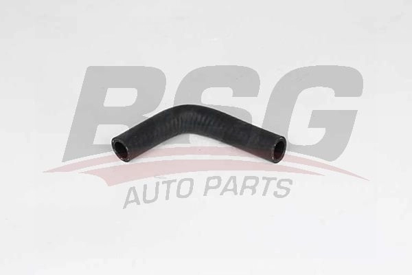 Шланг радиатора BSG BSG 65-700-483 B DHE0Y 1440461071