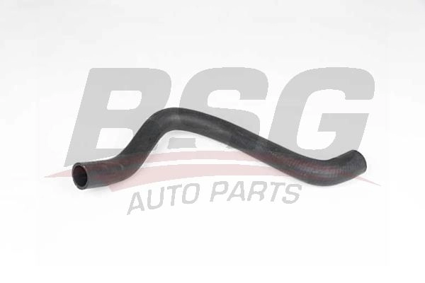 Шланг радиатора BSG BSG 65-700-488 XRB E9IJ 1440461076