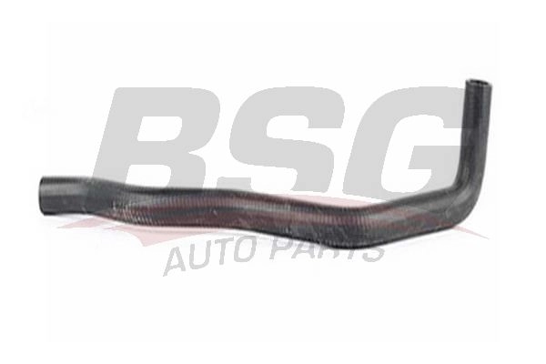 Шланг радиатора BSG 8719822079010 BSG 65-720-084 F5 KGRQB 1424438432