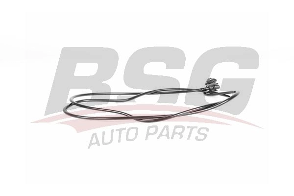 Шланг радиатора BSG BSG 70-720-205 1440461196 E EBPXHR