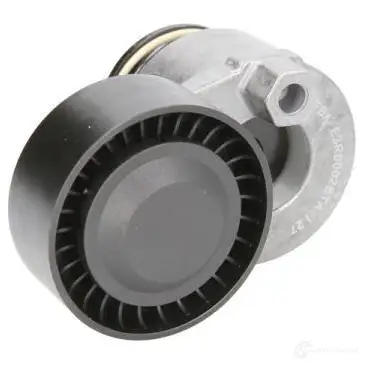 Натяжной ролик приводного ремня BTA CBEB WY 5900427425026 e3r0002bta 1424858429 - Изображение 1