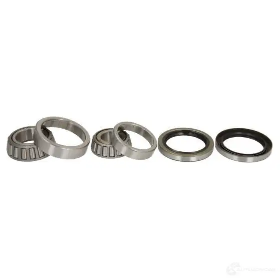 Подшипник ступицы колеса, комплект BTA h10304bta 5900427423008 3862184 X 72HBU