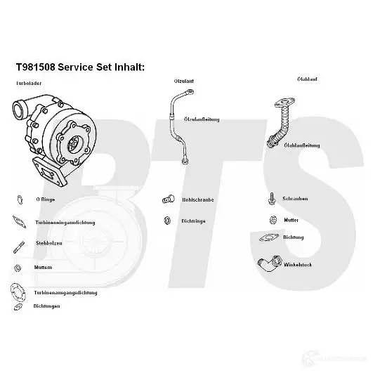 Турбина BTS TURBO DDYUTN S 1622651 4250280985078 t981508 изображение 0