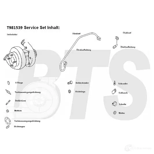 Турбина BTS TURBO 4250280985382 t981539 1622690 EQ2 2JPR изображение 1