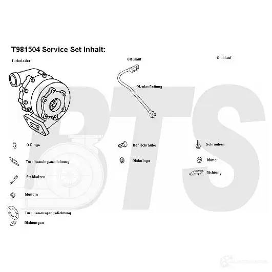 Турбина BTS TURBO 4250280985030 KR T03 1622647 t981504 изображение 0