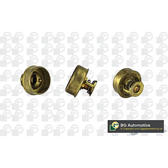 Термостат BGA CT5437 W8Y0 0 3180180 изображение 0