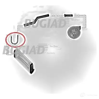 Патрубок интеркулера BUGIAD 4043193856180 ZC5 STZK 85618 1502439 - Изображение 1